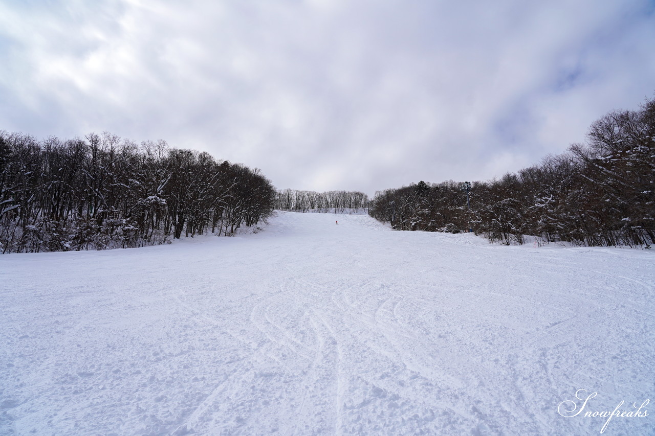 札幌藻岩山スキー場 ゲレンデの積雪は今季最深の125cm！コンディション良好で素晴らしいスキー日和に♪